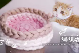 铲屎官一根毛线两只手就能做出网红猫窝，喵主子看了都开心视频封面