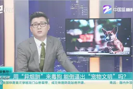 用“异烟肼”来毒狗，能倒逼出“宠物文明”吗？视频封面