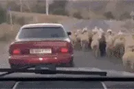 便衣来了丨见钱起意便是贼，顺手牵羊乃为盗！图片