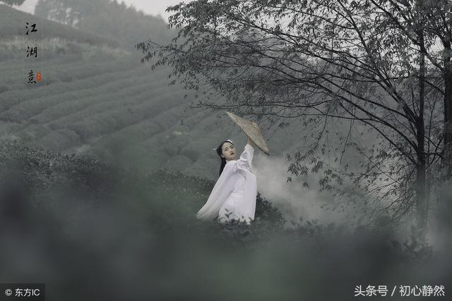 一爱难求歌词（玉面小嫣然古筝演奏扶摇片尾曲一爱难求）