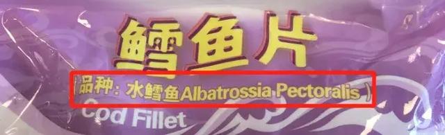 真鳕鱼和假鳕鱼图片 真鳕鱼和假鳕鱼图片对比