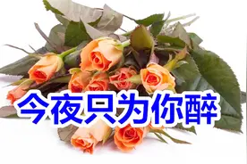 18新歌！一首《今夜只为你醉》伤感情歌，听醉多少有情人！视频封面