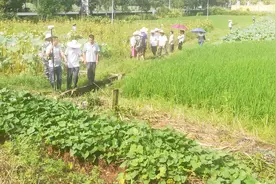 龙岩长汀县古城镇上街工业区火热征地中，即将解决上千人就业视频封面
