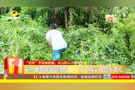 小山村频出第一名：19岁湘西伢不受重托 620分考上西安交通大学视频封面
