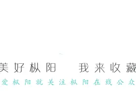 油菜花节｜抖粉们~《抖花粉——大美枞阳 景上添花》抖音大赛开始了，精美奖品等你来拿！图片