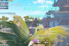 刺激战场：天堂度假村最强套路打法，趴在树顶，一人灭一队