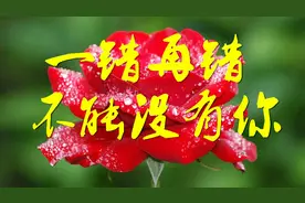 亲爱的我不能《一错再错》你就是唯一，永远的爱你一生一世视频封面