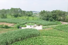 广西山区的卧虎臧龙之地，是大名鼎鼎的凤凰宝地，出了一品大员视频封面