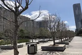 深圳海岸城周边大片桂花树枯萎 城管部门介入施救视频封面