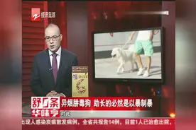 异烟肼毒狗，助长的必然是以暴制暴