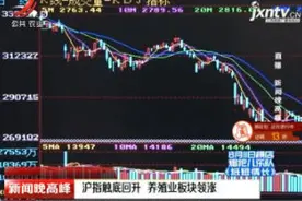 沪指触底回升 养殖业板块领涨视频封面