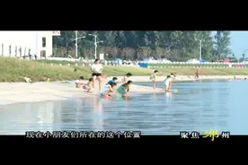 谭庙水库变身“天然浴场”，安全隐患令人忧！视频封面