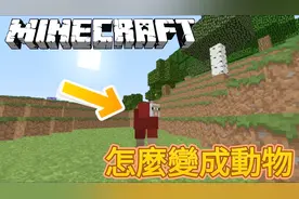 我的世界MC教学：教你如何变身成MC的任何动物