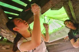 香港学子在故宫修古建 称接触后考虑未来从事文物保育类工作视频封面
