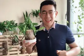宿舍好养绿植TOP5，马上开学的必养植物推荐！视频封面