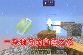 我的世界水晶花园09：阳光下的一朵“白雏菊”