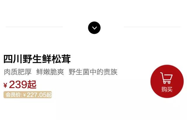 味道鲜美，是——松茸