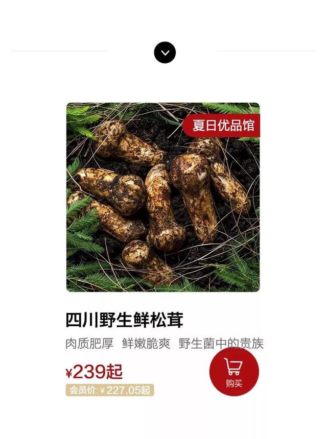 味道鲜美，是——松茸