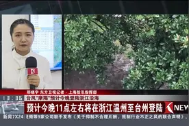 台风“摩羯”最新路径！预计今晚登陆浙江沿海 强风大雨已就位