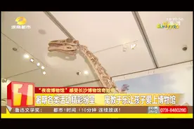 30个亲子家庭夜宿博物馆 探索奇妙的恐龙世界视频封面