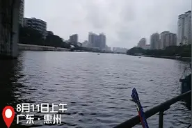 悲剧：22岁女子深夜投江自尽，次日上午在西枝江下游发现遗体视频封面