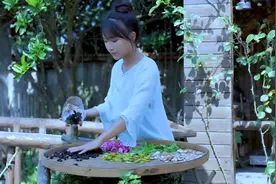 逍遥草本茶，泡一杯自在逍遥！视频封面