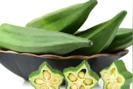 秋葵被称为“绿色人参”，但是要注意，两类人群不能吃秋葵视频封面