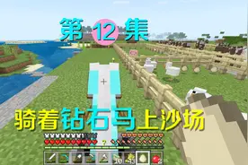 我的世界12：驯服一匹马给它套上钻石马铠，骑着它我就能奔赴沙场