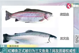 你会区分虹鳟鱼和三文鱼吗？标准出台引争议 生食淡水鱼要当心视频封面