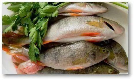 夏季吃鱼，当心组胺中毒
