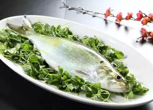 夏季吃鱼，当心组胺中毒