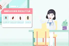 男子吃春卷烫伤舌头 开药发现药材有“蟑螂” 动画揭其能入药吗视频封面