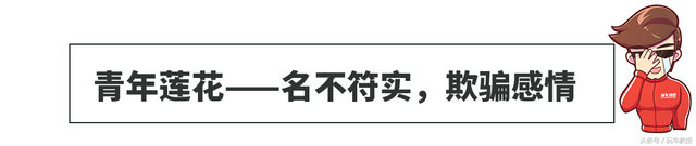 这些品牌曾经这么辉煌，车子也造得不错，为什么却停产倒闭了？