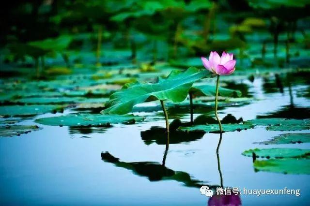 千古绝对，绝对经典：70副绝妙对联，让人拍案叫绝