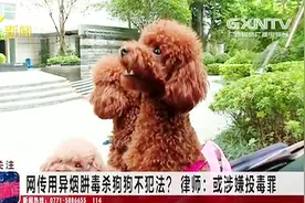异烟肼毒狗不用负法律责任？警方：当真你就进去了 文明养狗