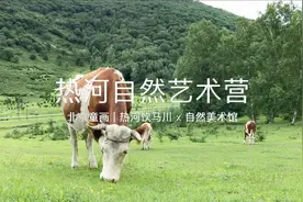 一间辽阔的教室~北京童画热河自然艺术营的孩子们视频封面