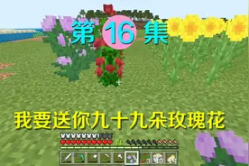 我的世界16：修建了一个百花园，遇到好看小姐姐就能送她99朵玫瑰