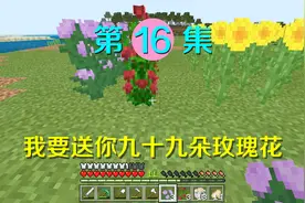 我的世界16：修建了一个百花园，遇到好看小姐姐就能送她99朵玫瑰