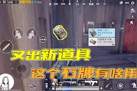 刺激战场：又出新道具？这些刷新地点要藏不住了，快来抢石板！视频封面