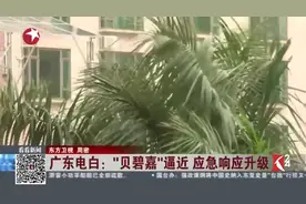 疾风骤雨杀到！台风“贝碧嘉”逼近广东电白 最大风力已达10级