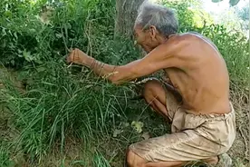 79岁老大爷夏天从不穿上衣 整天闲不住找活干 年轻时曾当过医生视频封面