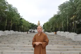 人生过往，不见荣枯图片