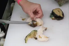 新鲜的巨型海螺，取肉后切成小片，吃起来鲜甜又可爱！视频封面