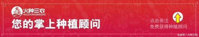 叶面肥与农药混配，不注意以下几点，不但药肥白打，还会出问题！
