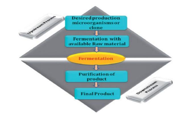 大肠杆菌系统中优化表达重组蛋白之先进技术