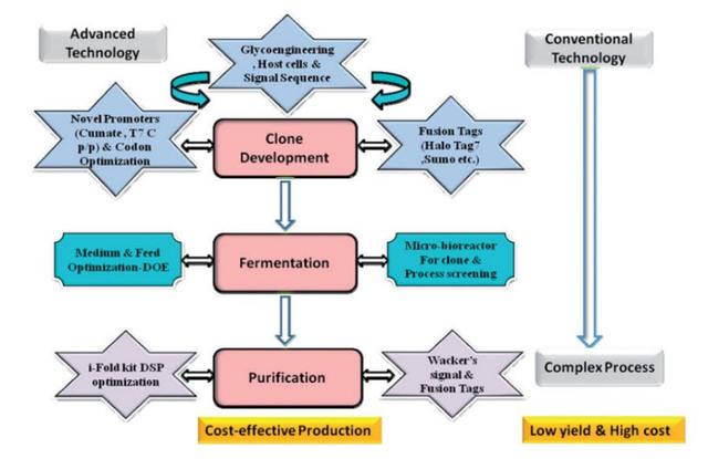 大肠杆菌系统中优化表达重组蛋白之先进技术