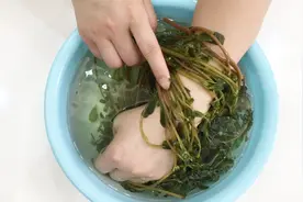 马齿苋煮水涂在手臂上太厉害，居然很多人都不知道这个作用！