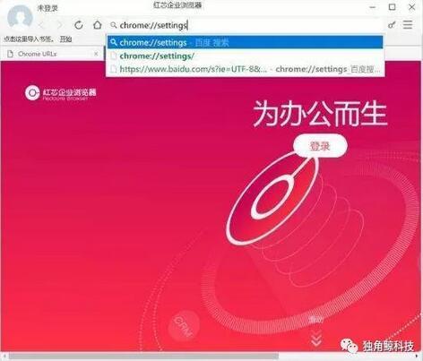 XP优化简历（号称站在巨人肩膀上创新的红芯浏览器）