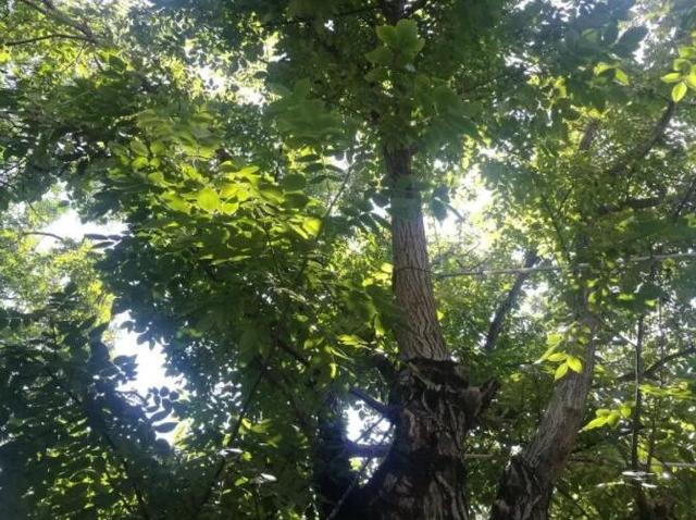 原来，这就是爱情的模样！