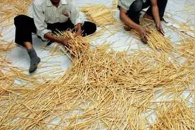 中国出口一次性筷子到日本，成为日本木材最大进口国，有何变化？视频封面